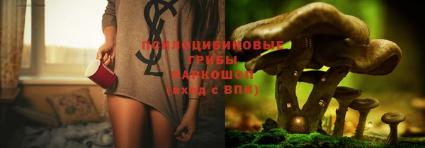 каннабис Новозыбков