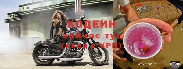 шишки Нефтегорск