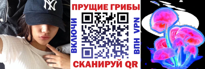 как найти закладки  Знаменск  Псилоцибиновые грибы прущие грибы 