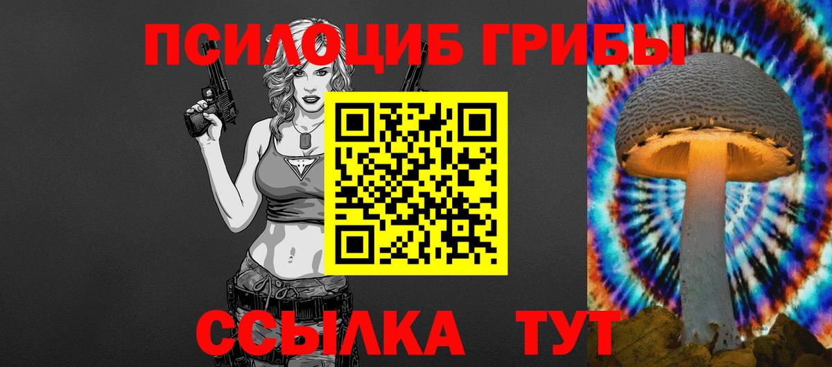 Галлюциногенные грибы Psilocybe Знаменск