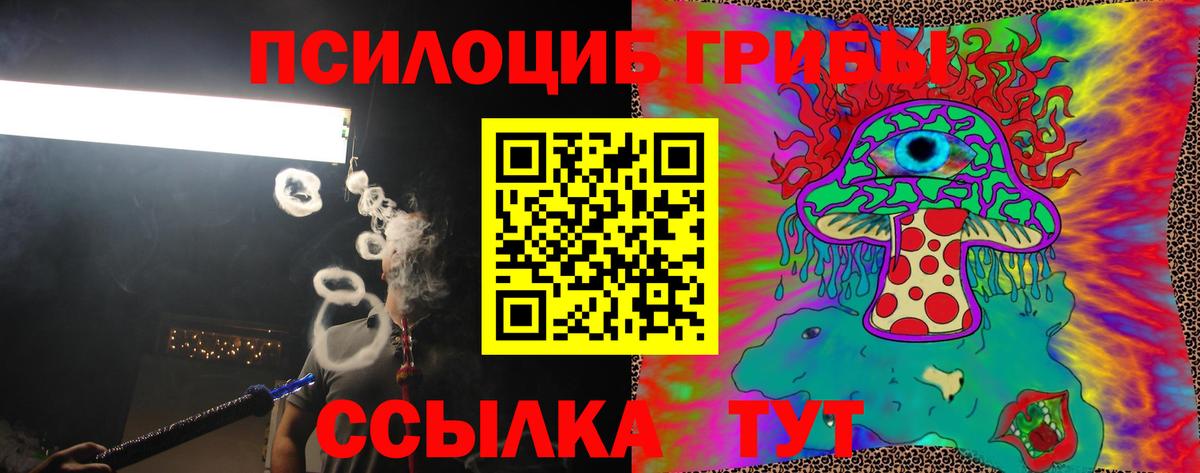 Галлюциногенные грибы мухоморы  Знаменск  Галлюциногенные грибы Cubensis 